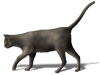 Captcha image 6760
