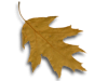 Captcha image 5502